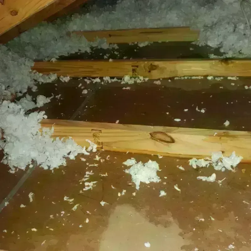 Attic Water Damage in Fairfax, OK