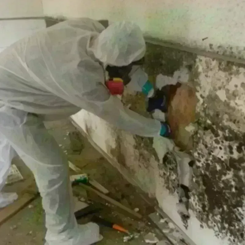 Mold Remediation and Removal in Fairfax, OK