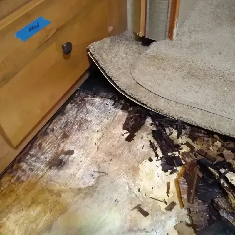 Wood Floor Water Damage in Fairfax, OK